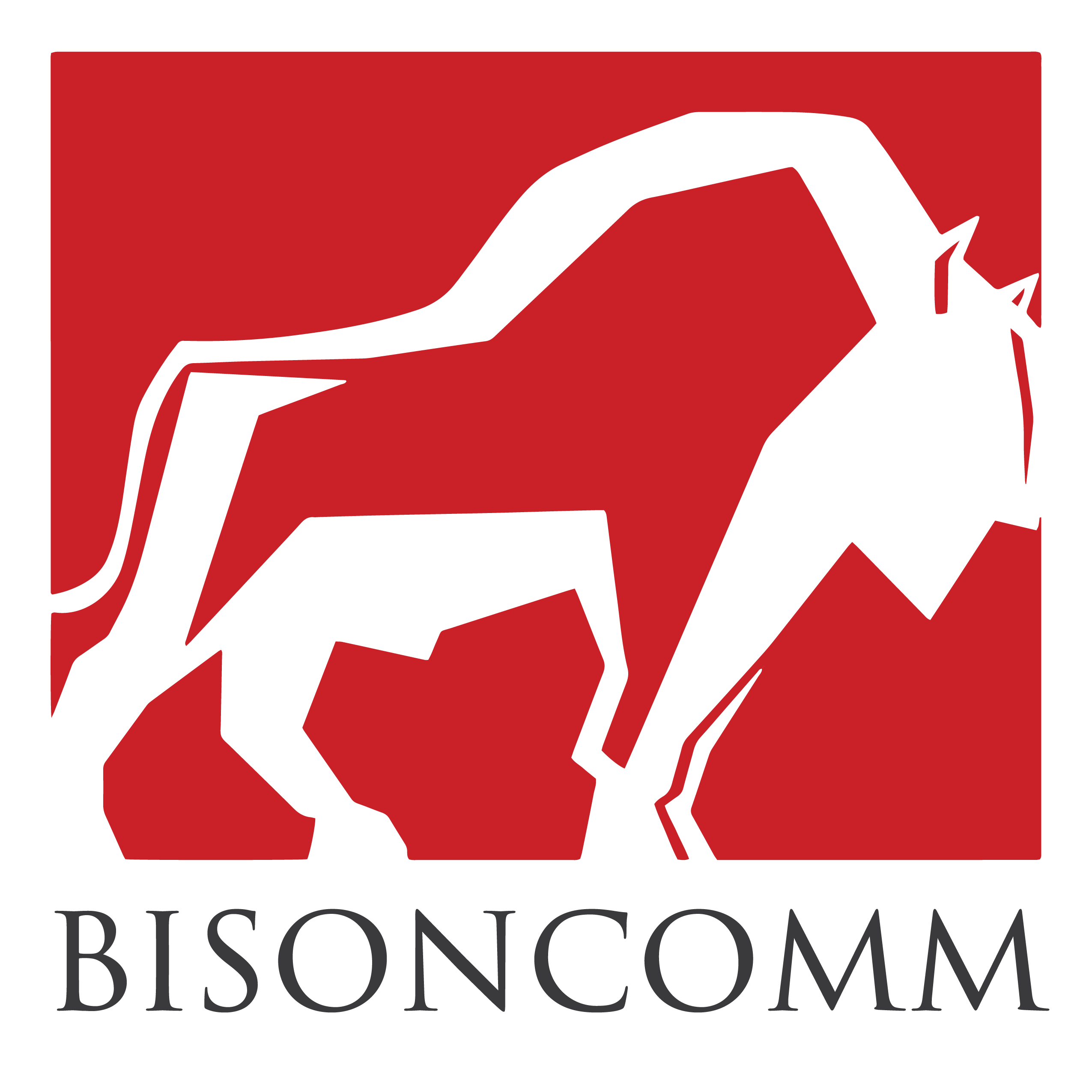 Bisoncomm Group