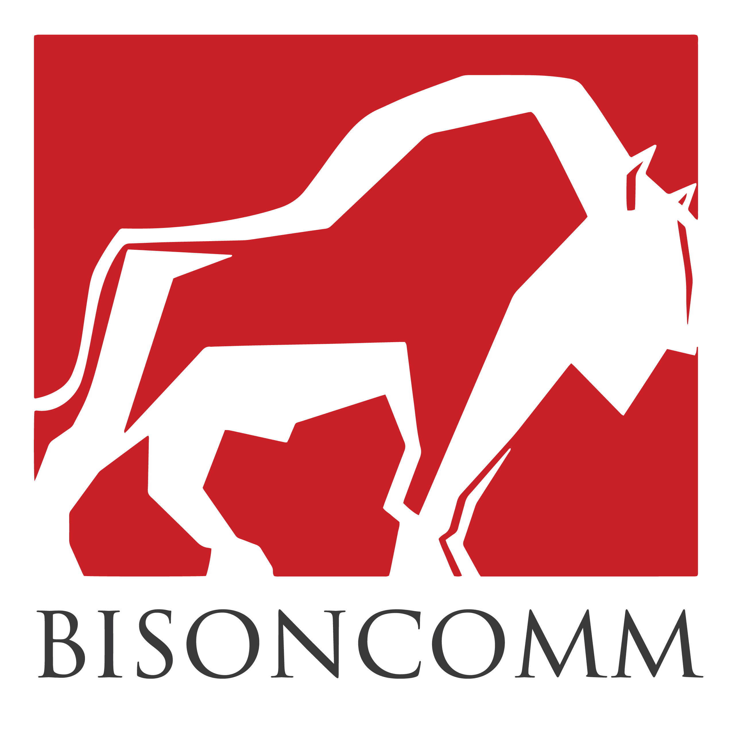 Project Survey Bisoncomm Group